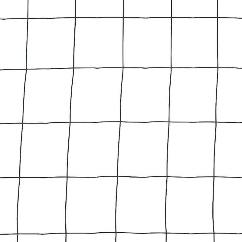 Grillage en rouleau maille 100x100 mm gris