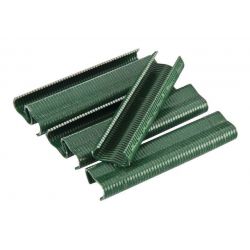 Agrafes vertes VR20/22 - Boite de 1000