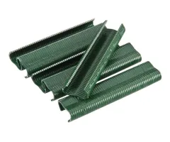 Agrafes vertes VR20/22 - Boite de 1000